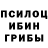 Галлюциногенные грибы мицелий Trista Dva