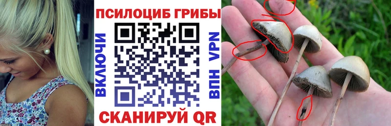 Псилоцибиновые грибы мухоморы Чудово