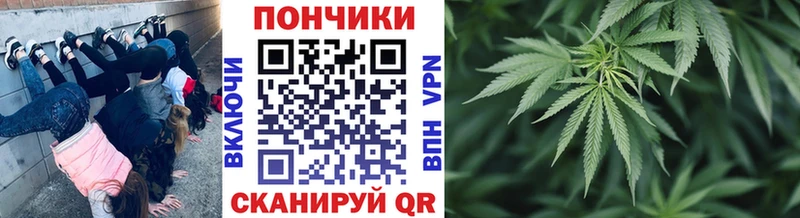нарко площадка клад  Чудово  Бошки марихуана SATIVA & INDICA  продажа наркотиков 